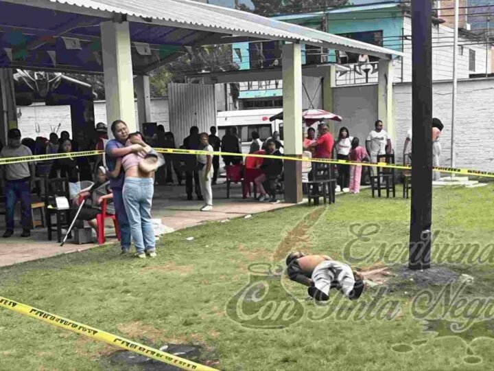 JOVENCITO CAE DE PALO ENCEBADO Y MUERE