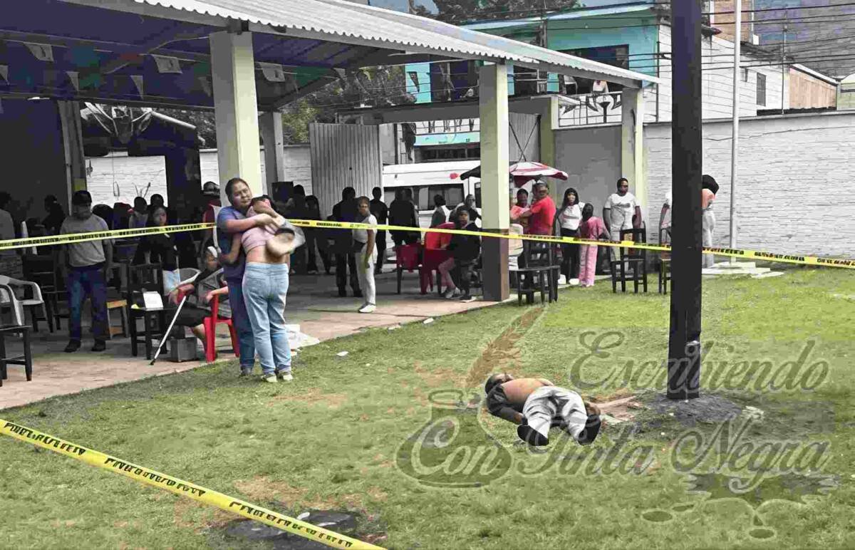 JOVENCITO CAE DE PALO ENCEBADO Y MUERE