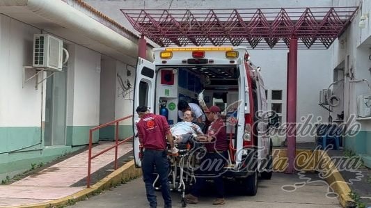 BALEAN A MÉDICO VETERINARIO