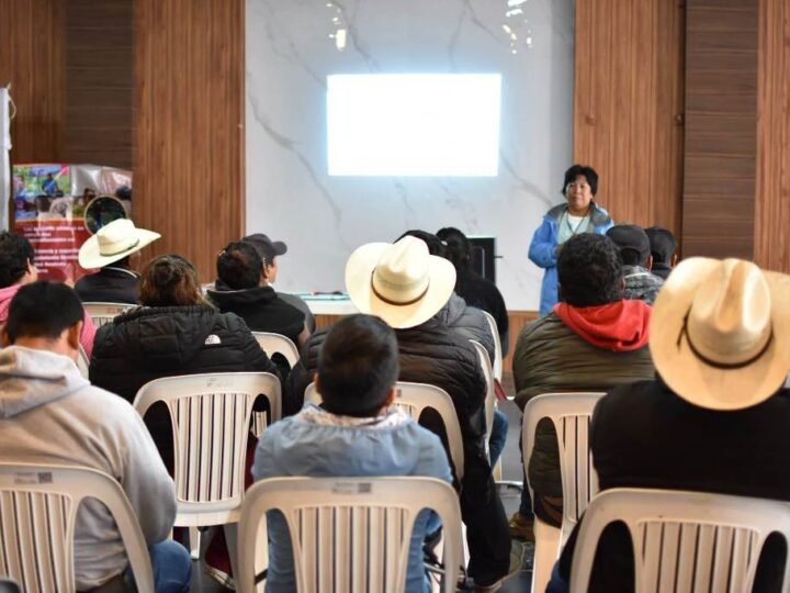 BUSCAN INTRODUCIR CULTIVO DE TILAPIA EN ALPATLÁHUAC