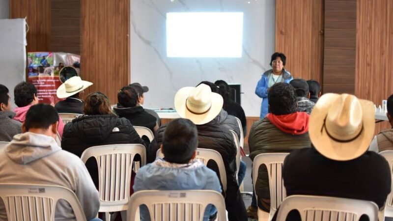 BUSCAN INTRODUCIR CULTIVO DE TILAPIA EN ALPATLÁHUAC