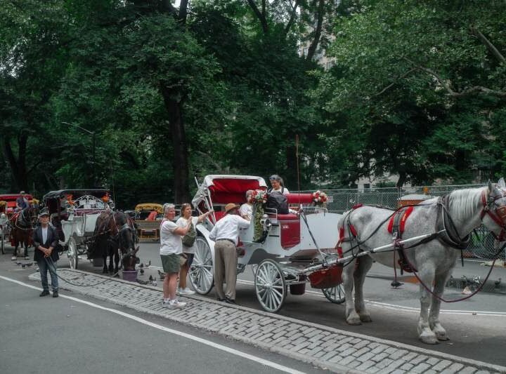 NUEVA YORK SE ENCAMINA A PROHIBIR LOS CARRUAJES TIRADOS POR CABALLOS A PARTIR DE 2028