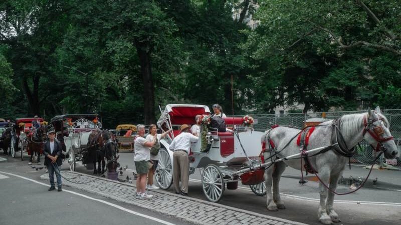 NUEVA YORK SE ENCAMINA A PROHIBIR LOS CARRUAJES TIRADOS POR CABALLOS A PARTIR DE 2028