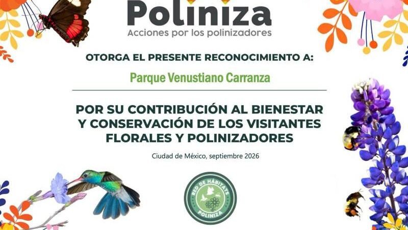 AYUNTAMIENTO DE FORTÍN PONE EN FUNCIONAMIENTO JARDÍN DE POLINIZADORES