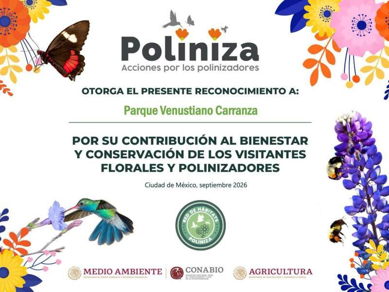 AYUNTAMIENTO DE FORTÍN PONE EN FUNCIONAMIENTO JARDÍN DE POLINIZADORES