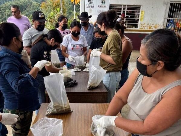 PROMUEVEN EN IXHUATLÁN DEL CAFÉ INDEPENDENCIA ALIMENTARIA