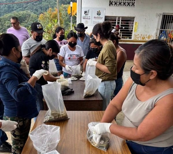 PROMUEVEN EN IXHUATLÁN DEL CAFÉ INDEPENDENCIA ALIMENTARIA
