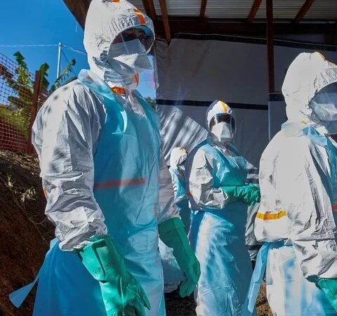 FRANCIA REPORTA PRIMER CASO HUMANO DEL VIRUS SHAMONDA