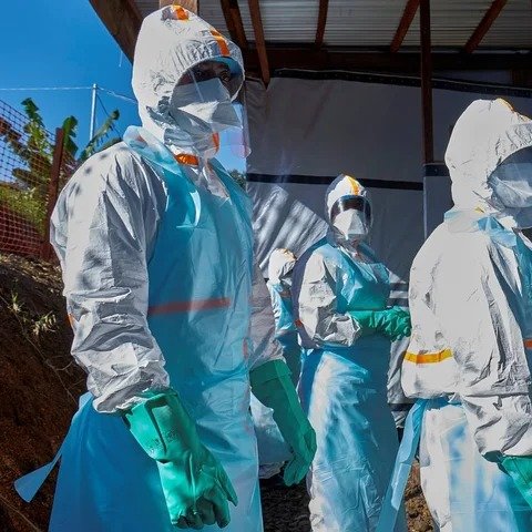 FRANCIA REPORTA PRIMER CASO HUMANO DEL VIRUS SHAMONDA