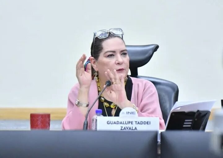 TADDEI AFIRMA QUE NO RENUNCIARÁ A LA PRESIDENCIA DEL INE