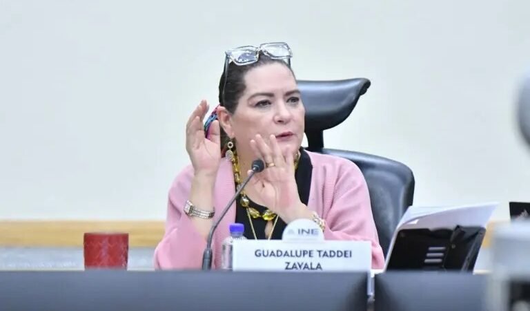 TADDEI AFIRMA QUE NO RENUNCIARÁ A LA PRESIDENCIA DEL INE