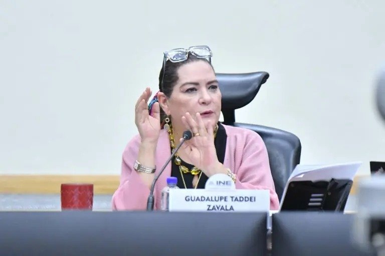 TADDEI AFIRMA QUE NO RENUNCIARÁ A LA PRESIDENCIA DEL INE