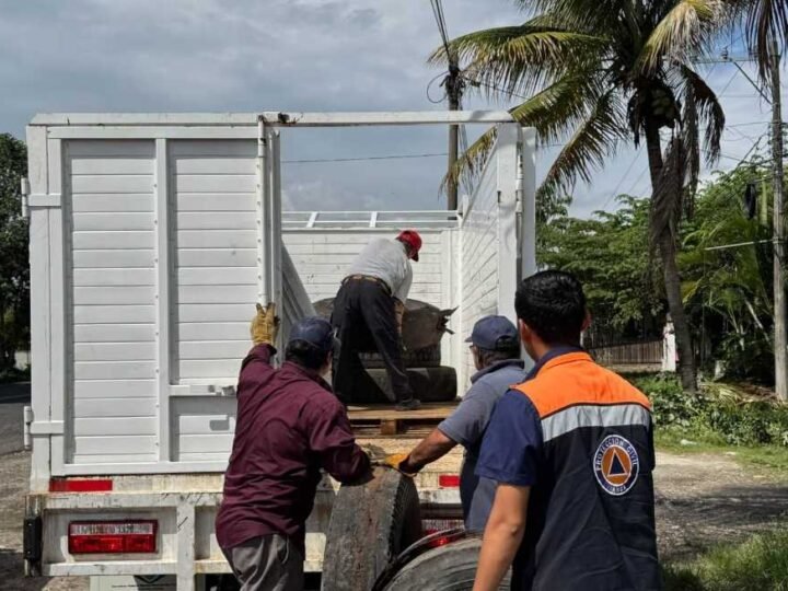 YANGA REFUERZA BLINDAJE CONTRA EL DENGUE