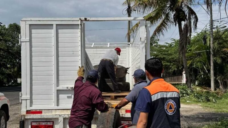 YANGA REFUERZA BLINDAJE CONTRA EL DENGUE