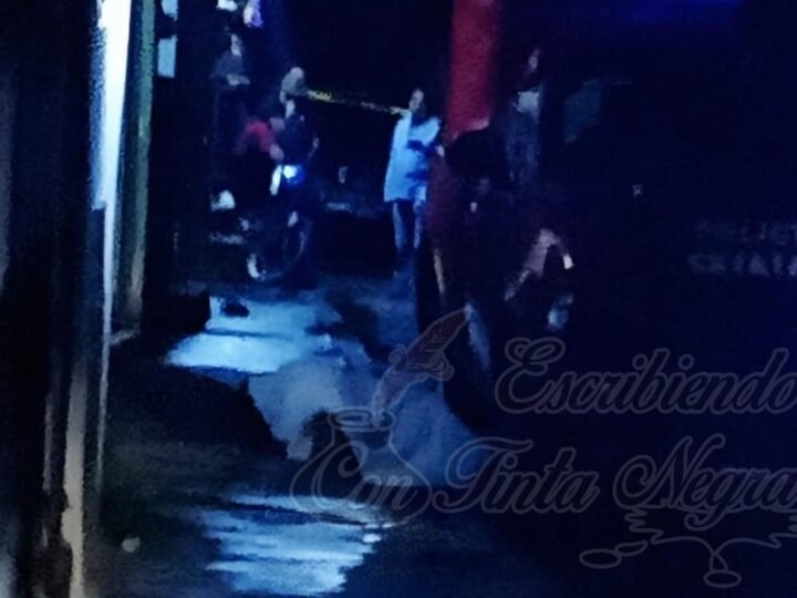 EJECUTADO EN XALAPA