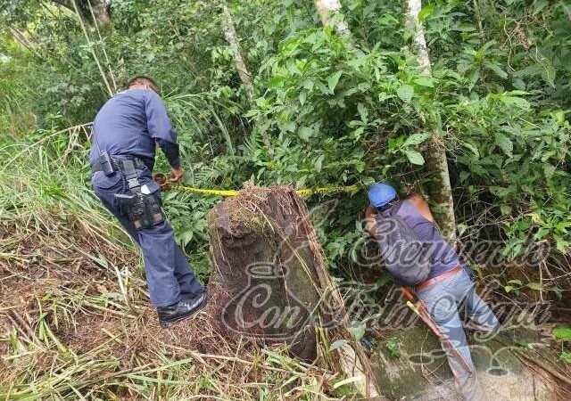 TRAGEDIA: VENDEDOR MUERE AL CAER A BARRANCO